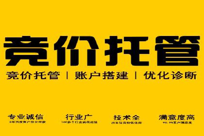 竞价代运营助力电商销量翻倍案例